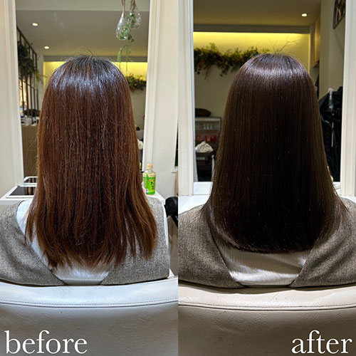 キャンペーンメニュー2